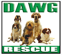 Best Dawg Rescue