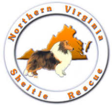 Northern Virginia Sheltie Rescue