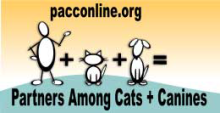 Partners Among Cats and Canines