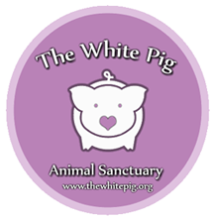The White Pig
