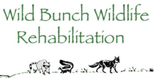 Wild Bunch Wildlife Rehabilitation