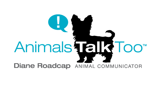 Home Animals Talk Too - Diane Roadcap, Animal Communicator